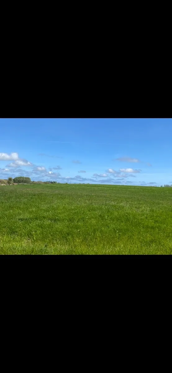 50 acres of land to let for silage cut. Mayo - Image 2