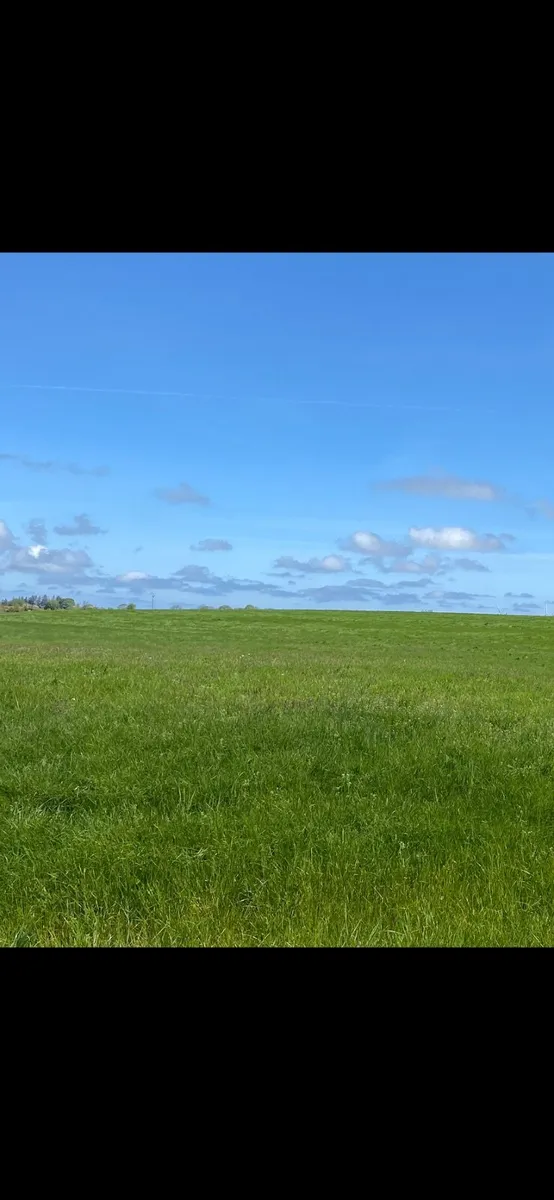 50 acres of land to let for silage cut. Mayo - Image 3