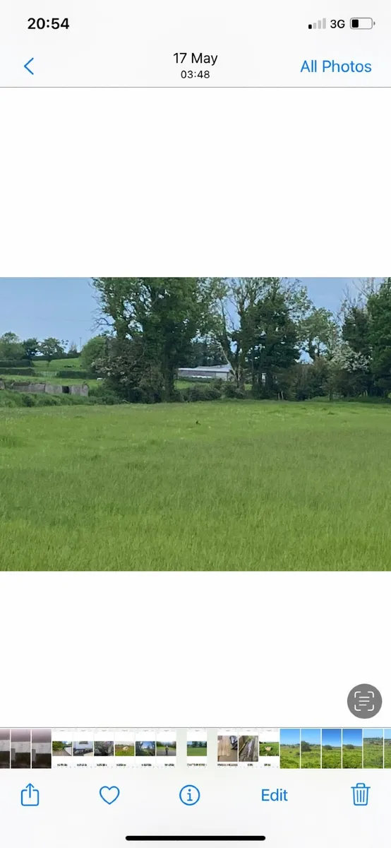 50 acres of land to let for silage cut. Mayo - Image 4