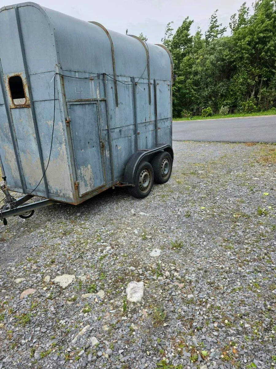 Horse box - Image 3