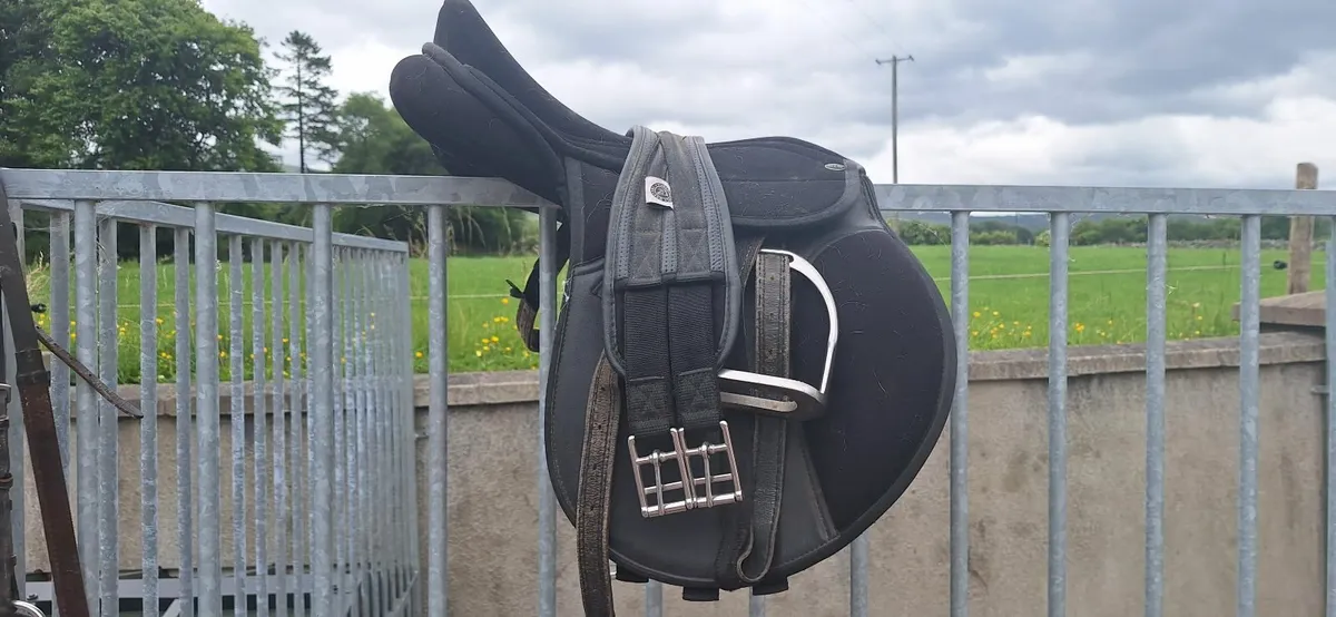 Beginner bridle, saddle and body protector - Image 1
