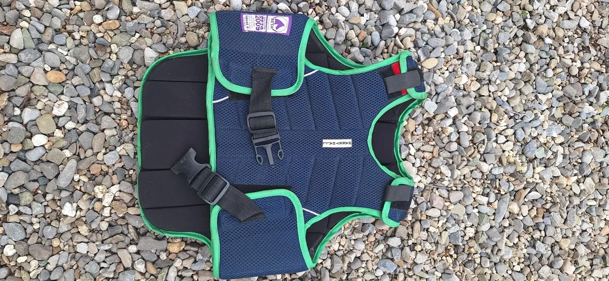 Beginner bridle, saddle and body protector - Image 3