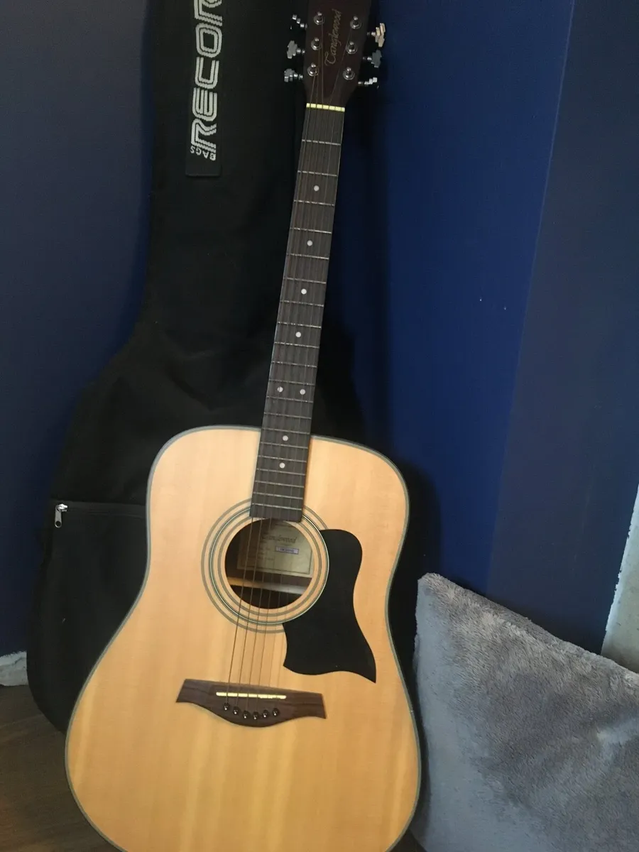 Guitar - Image 2