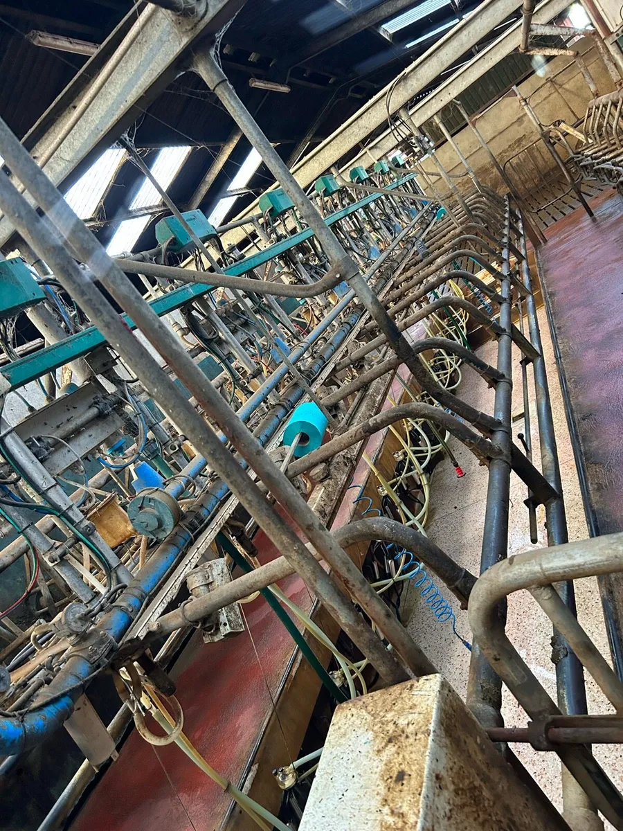 *Breaking* 14/28 Dairymaster/GEA - Image 3