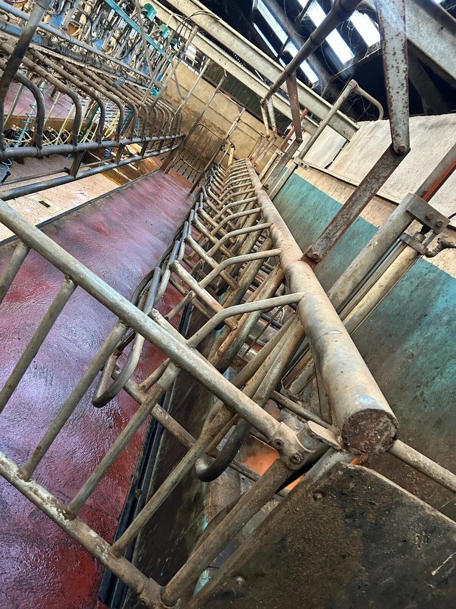 *Breaking* 14/28 Dairymaster/GEA - Image 4