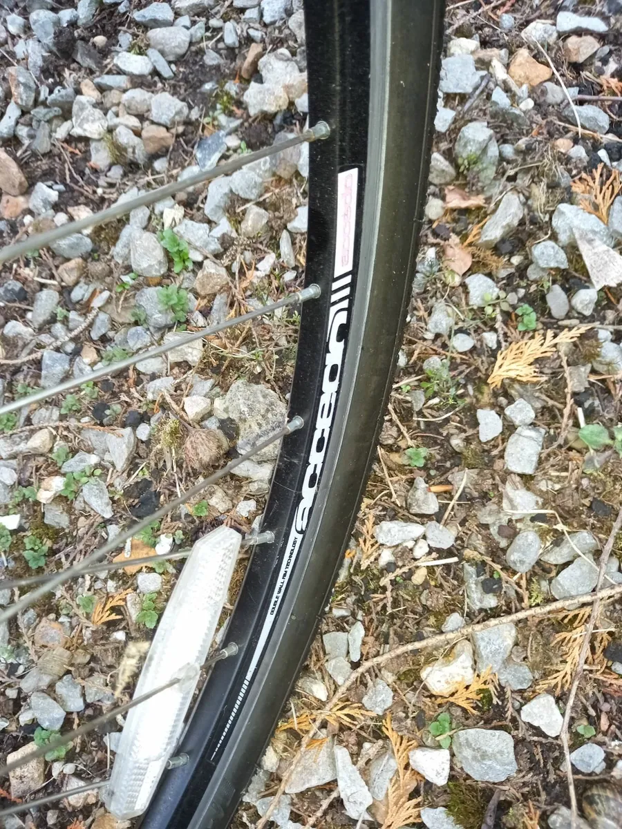 Bicycle - Image 4