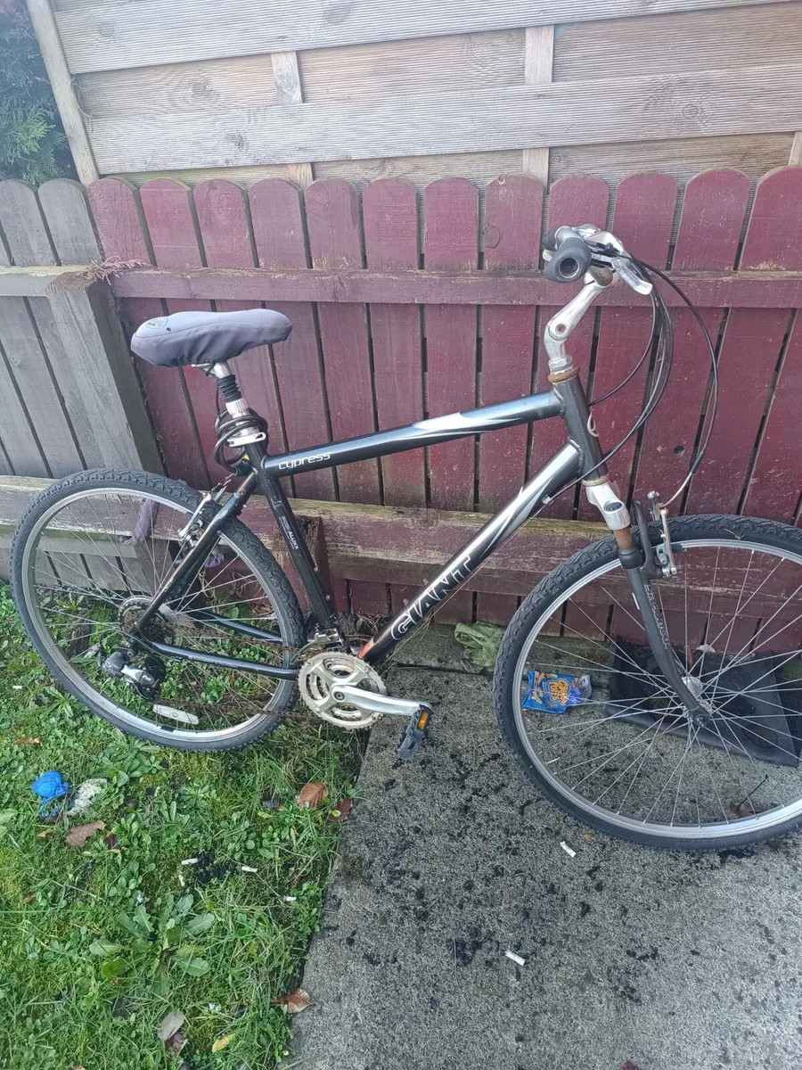 Bike