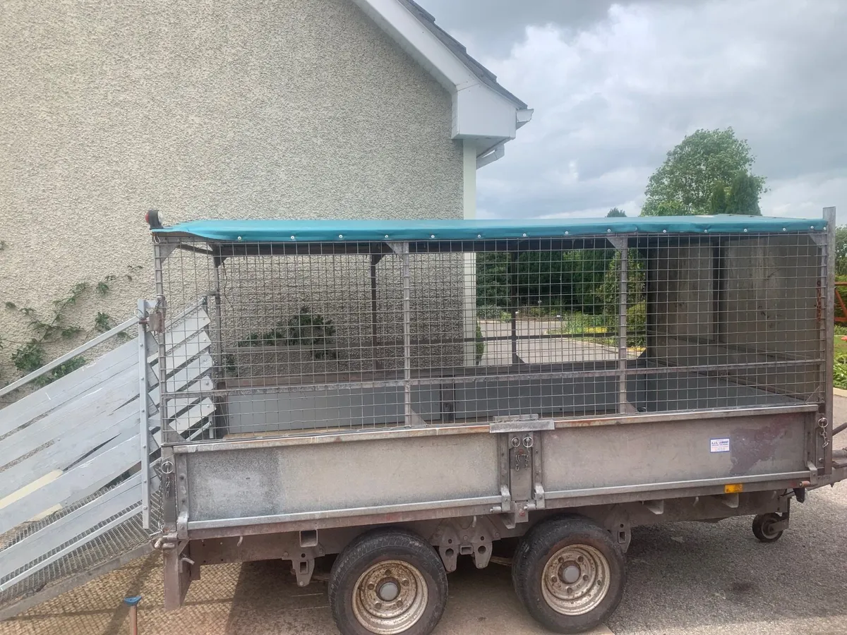 Mesh sided trailer top - Image 4