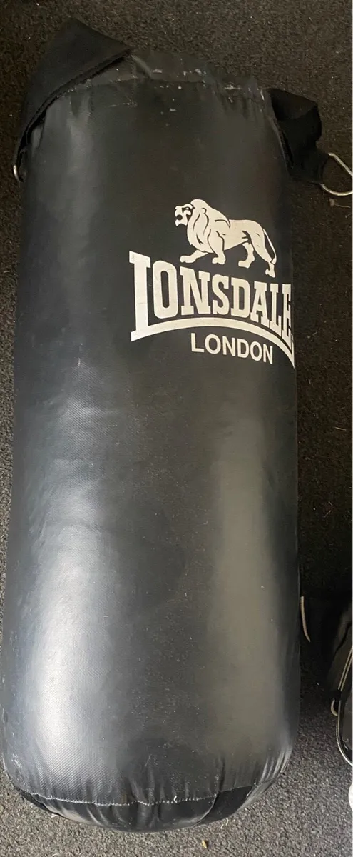 Punch bag