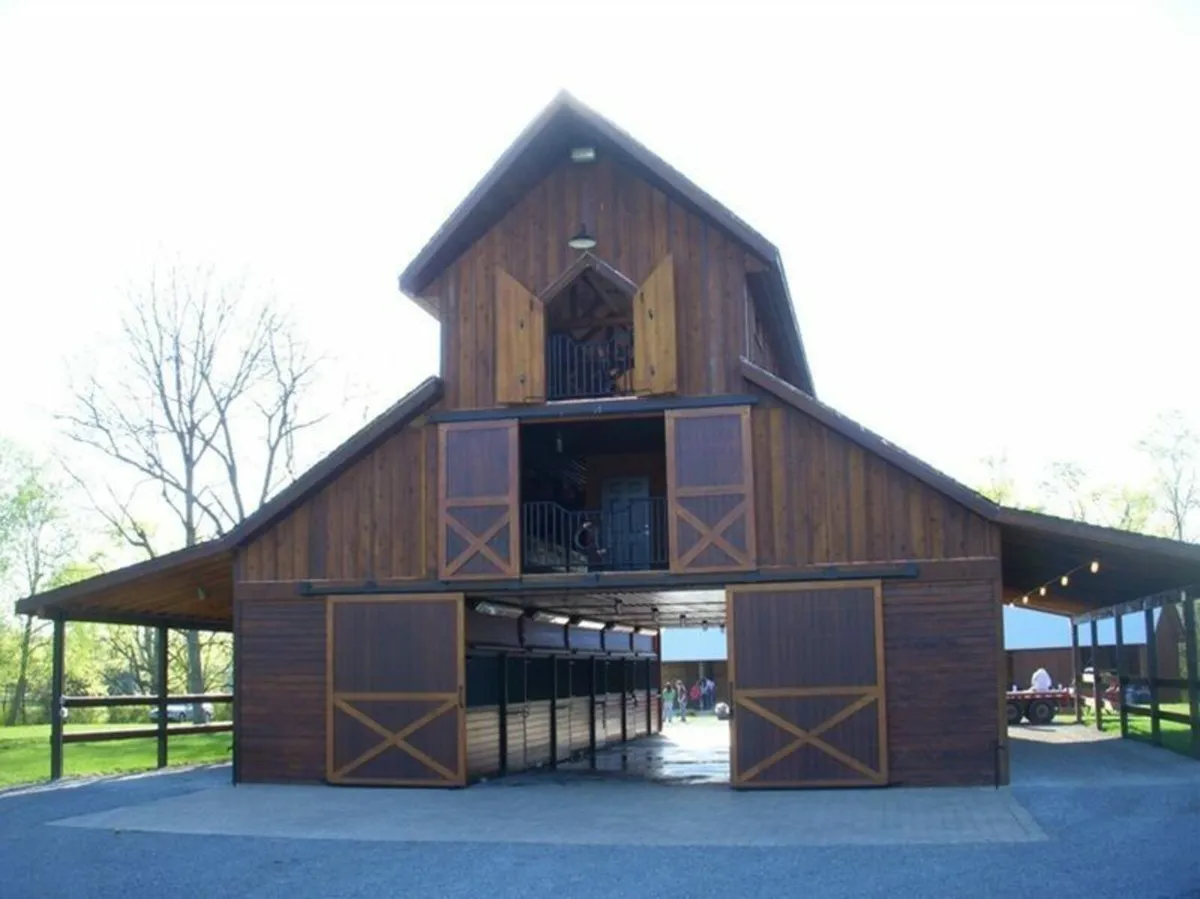 Equestrian Elegance Rooted in Time - Image 1