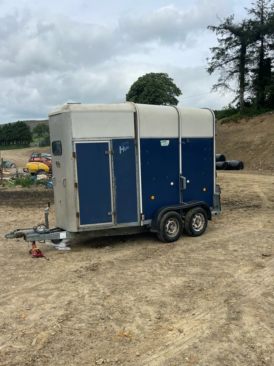 Ifor Williams 505 Horse Box - Image 2
