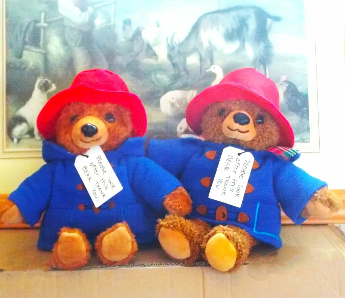 Classic Paddington Bear, Free Post - Image 3