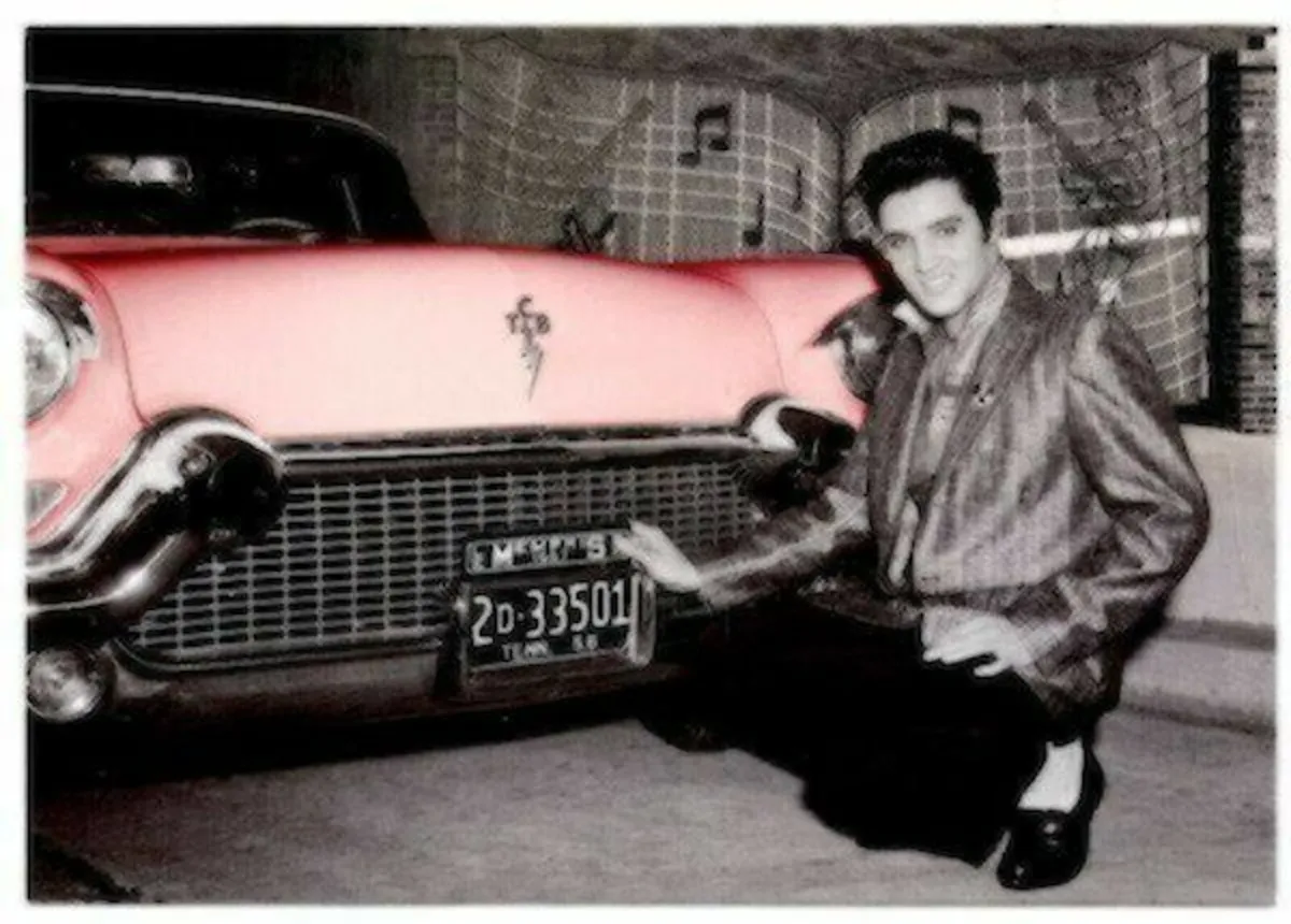 Elvis - all the way - Image 4