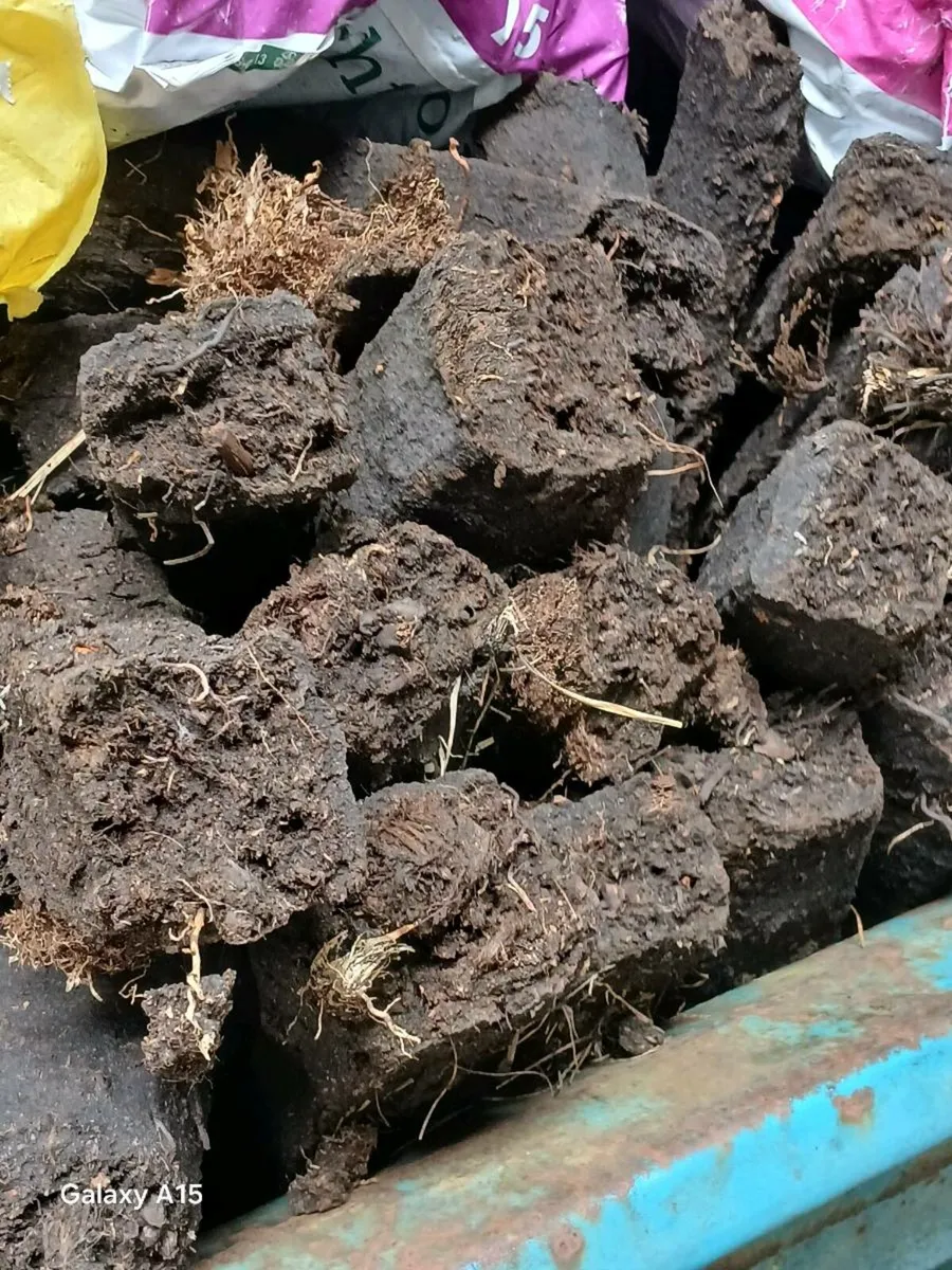 Fire fuel - Image 3