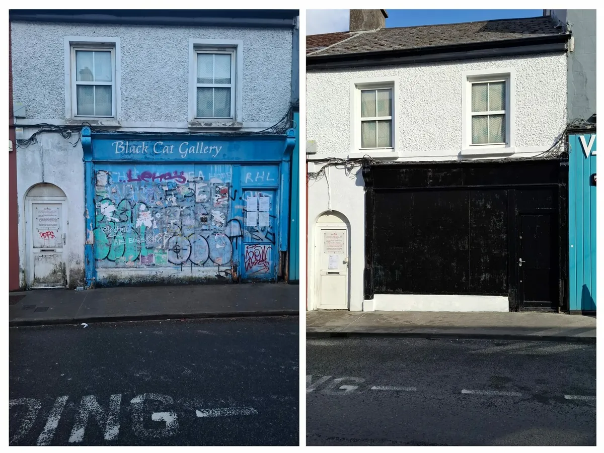 Handyman/painter & Garden maintenance - Image 3