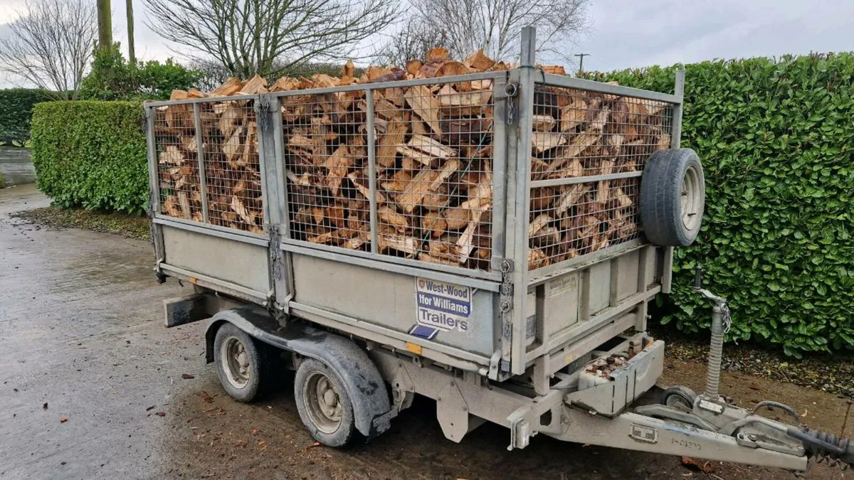 Firewood - Image 1