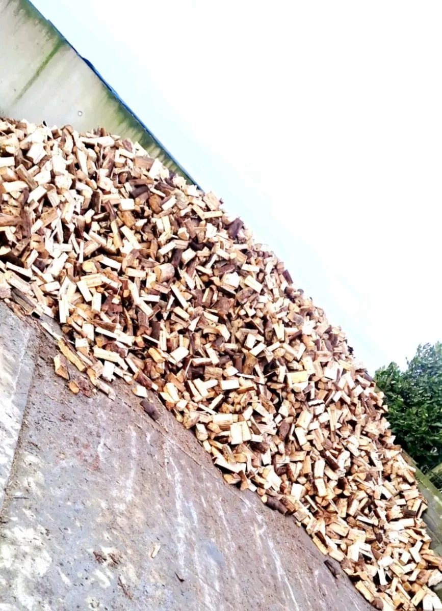 Firewood - Image 4