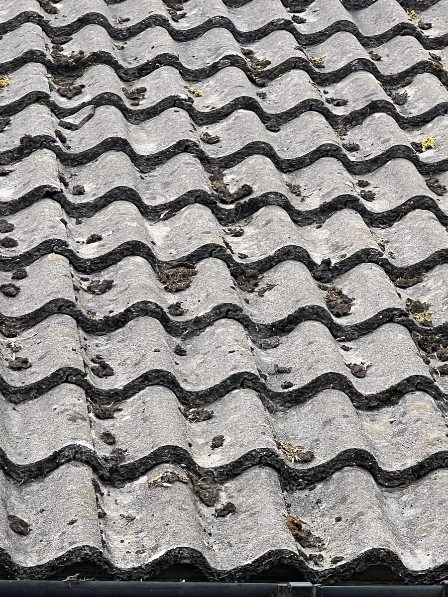 Pantiles - Image 1