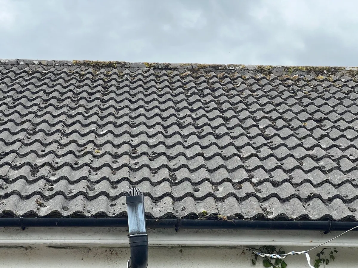 Pantiles - Image 2