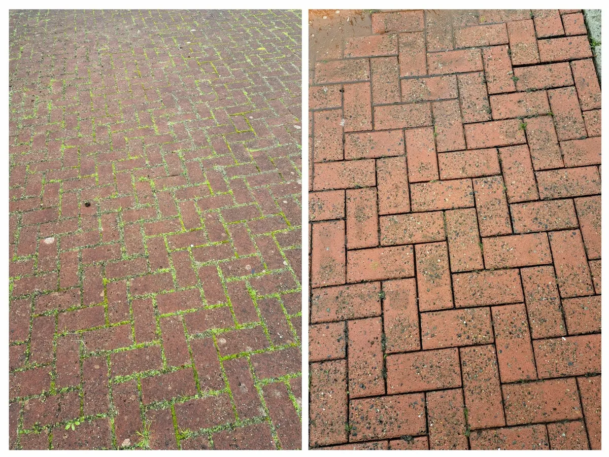 Handyman/painter & Garden maintenance - Image 4