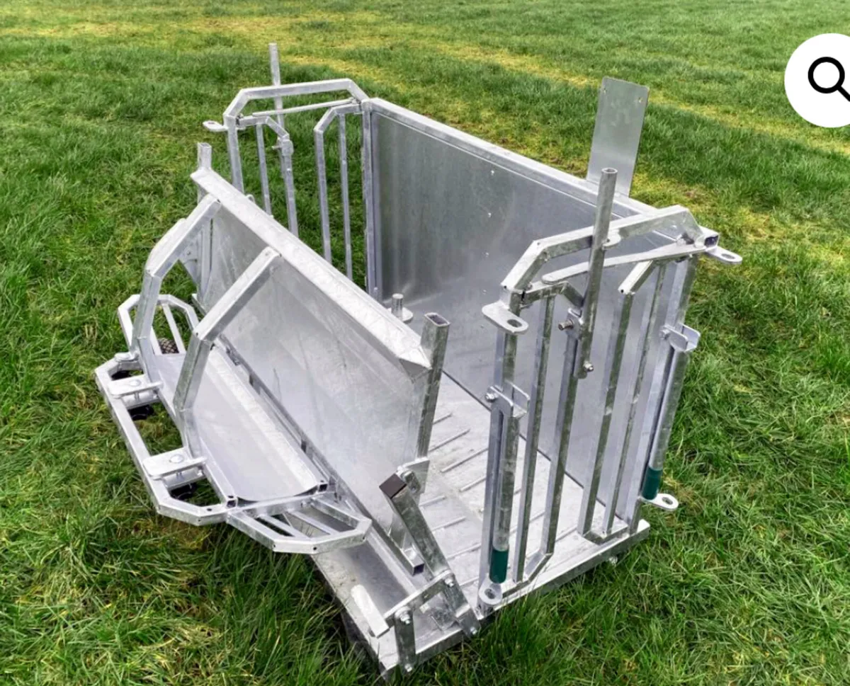 Sheep Turnover Crates - Image 2
