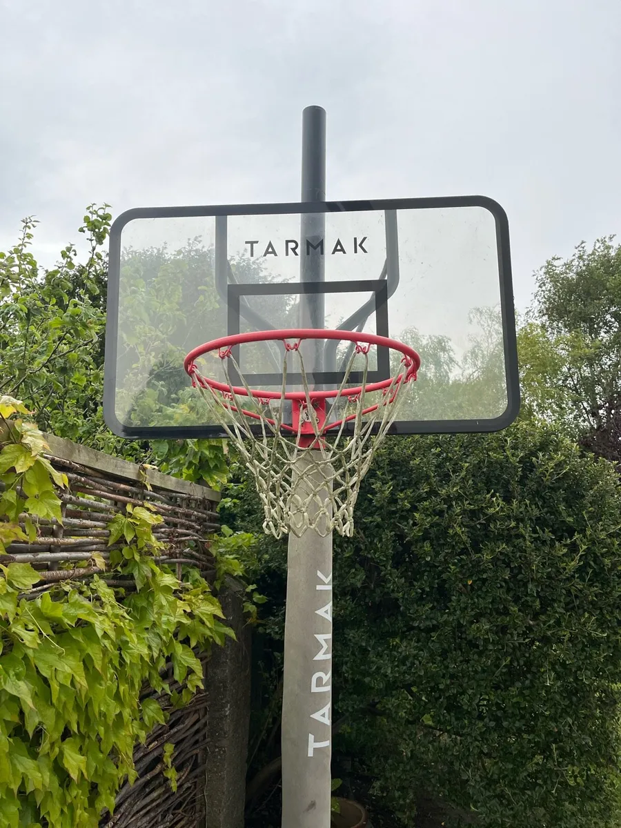 Basketball Ring and Backboard - Image 2