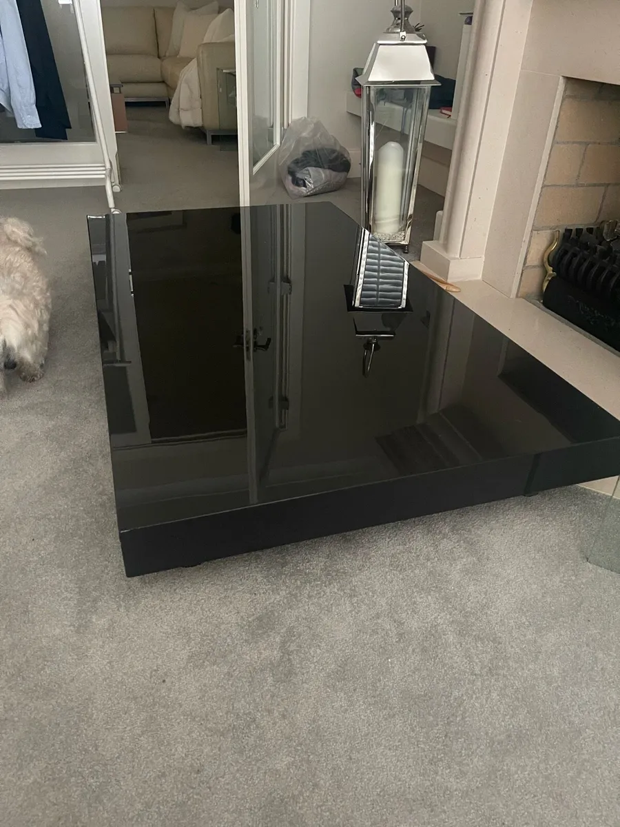 Natuzzi Low Coffee Table - Image 1