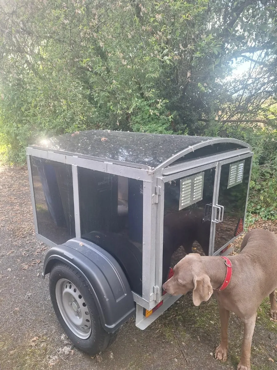 Dog trailer - Image 2