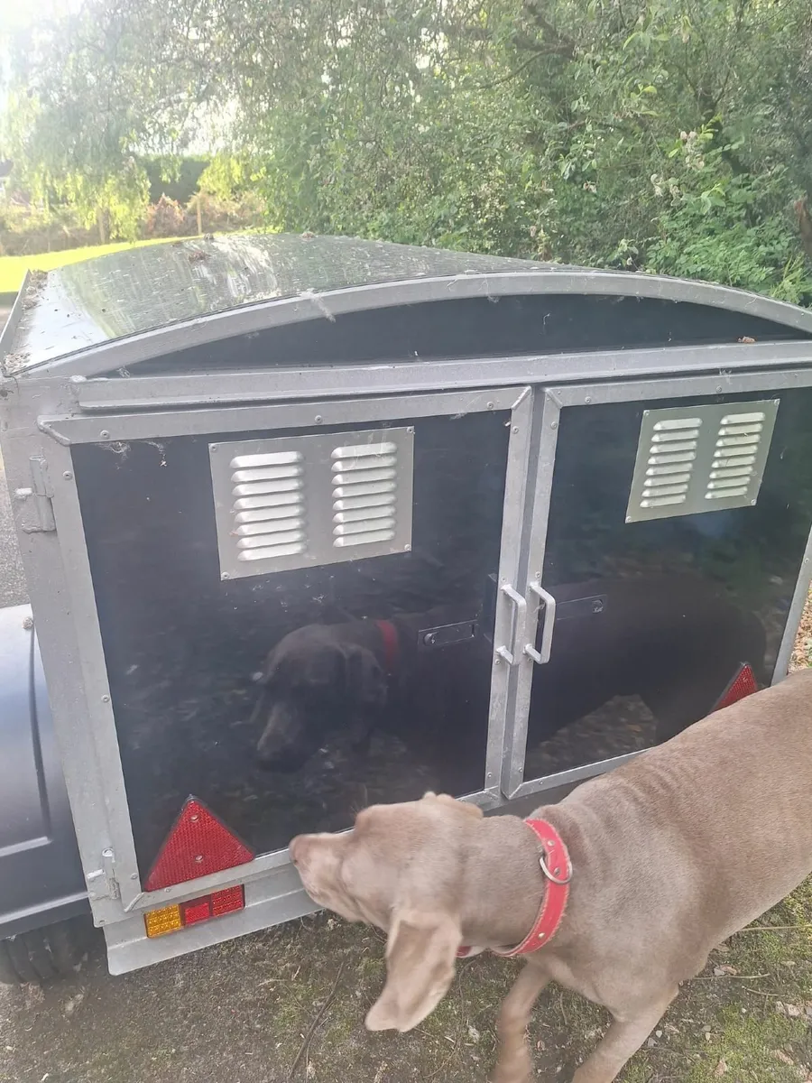 Dog trailer - Image 3