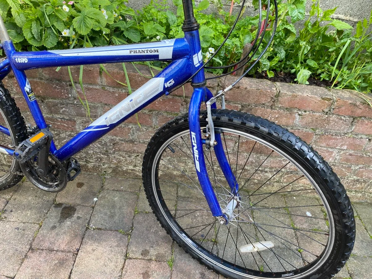 Mountain Bike in great condition working 100% - Image 3