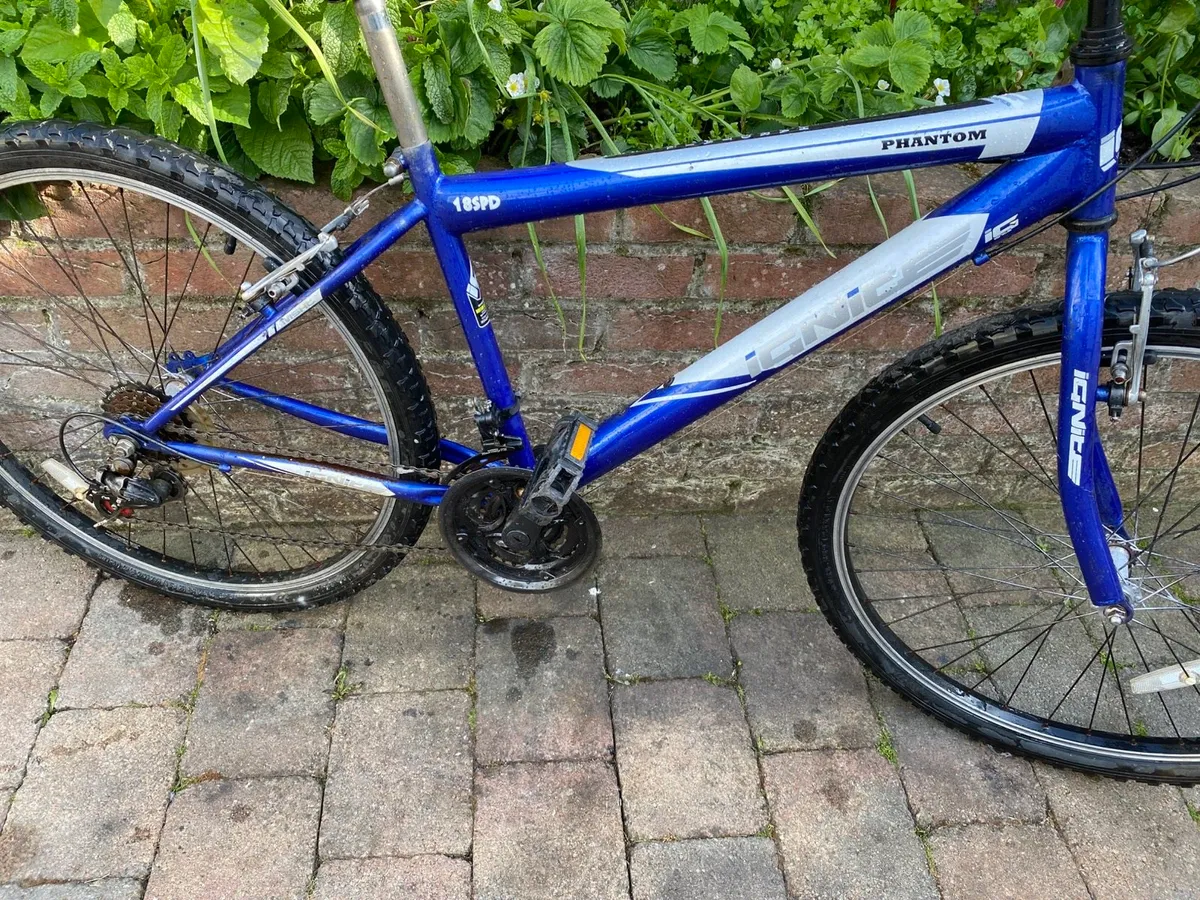 Mountain Bike in great condition working 100% - Image 4