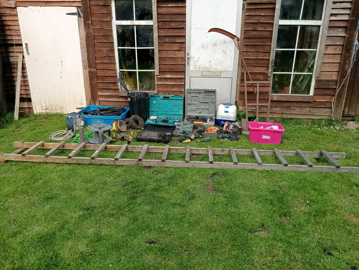 Shed clearance - Image 1