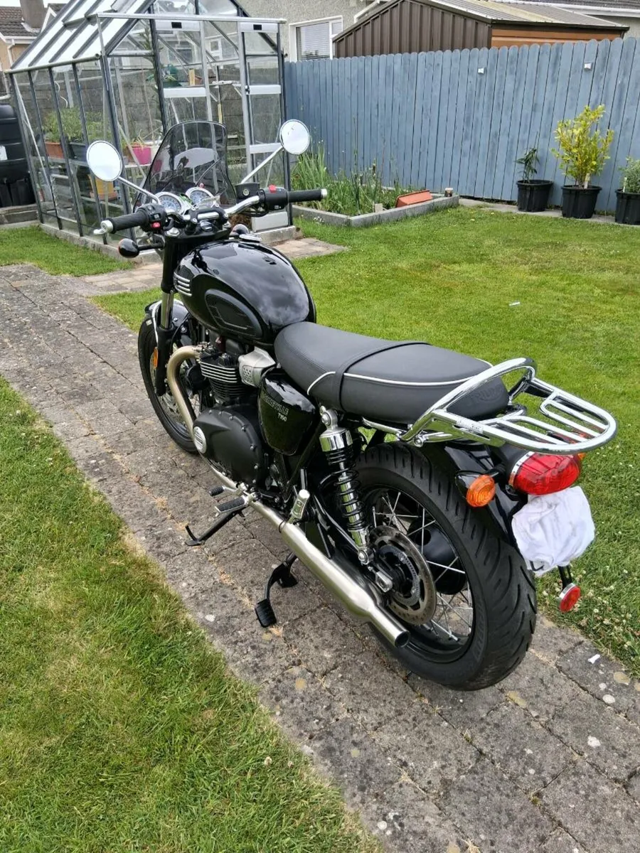 2024 Triumph Bonneville - Image 4