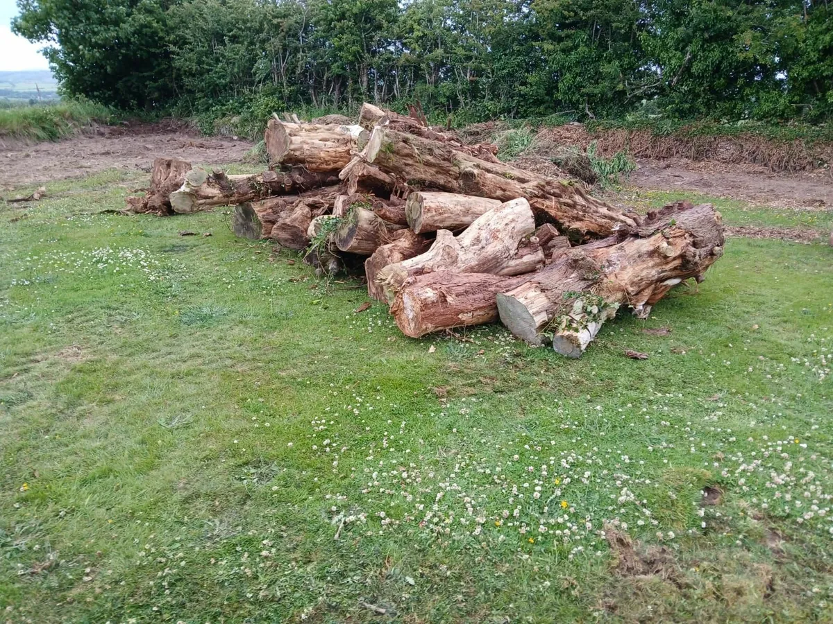 Timber