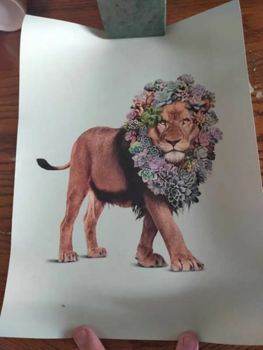 Screen Print Posters - Image 3