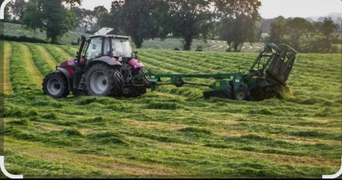 6 Acres of silage