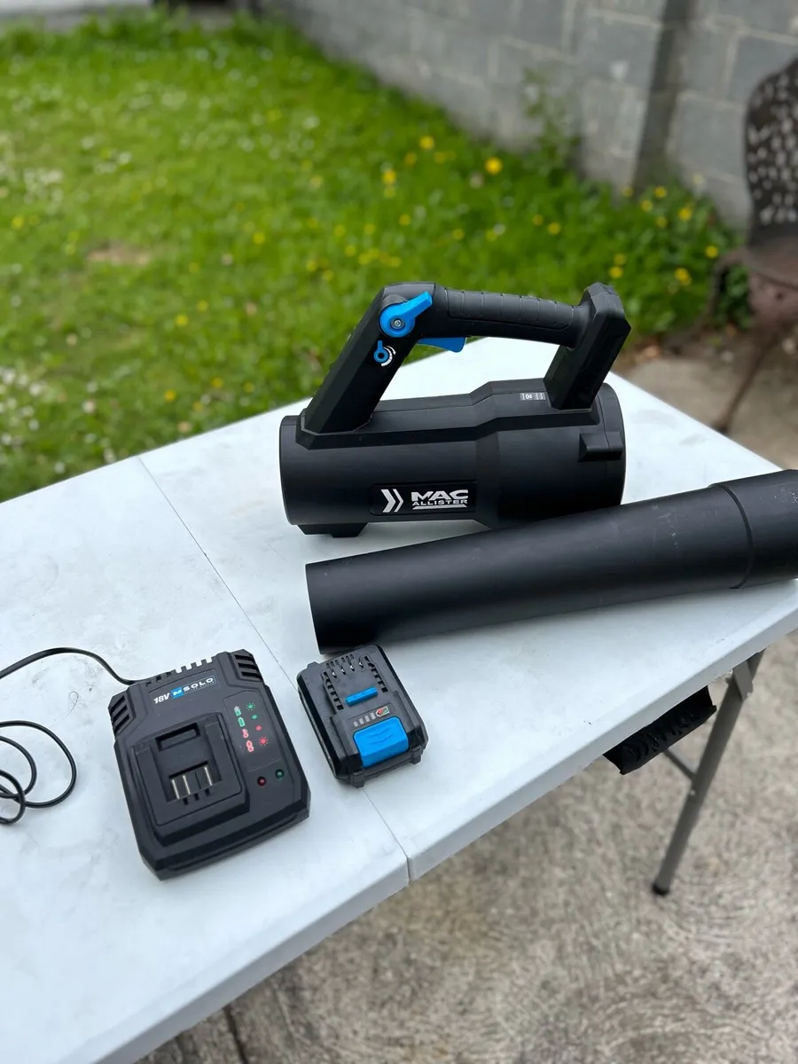 Mac Allister Cordless Leaf Blower - Image 1