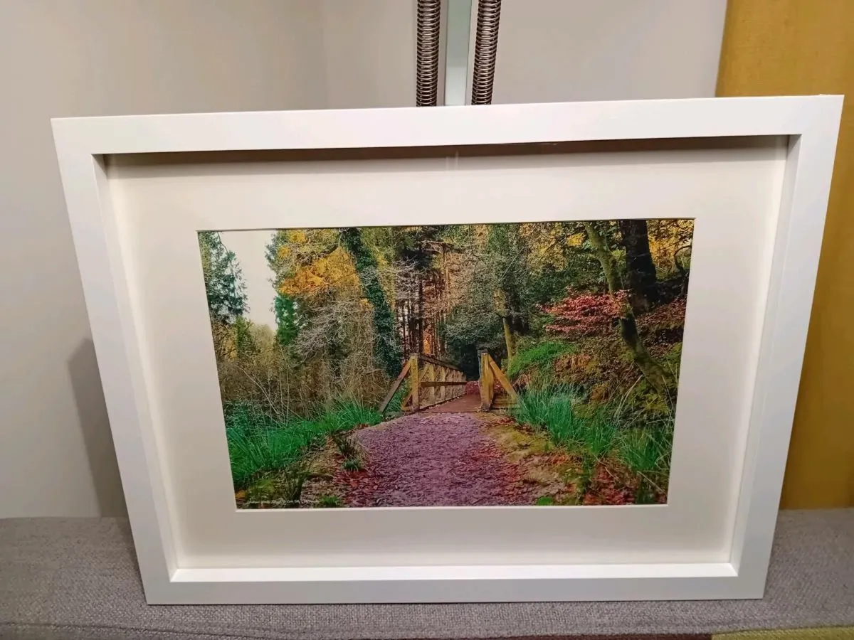 Glenbower Woods, Co.Cork - Image 2