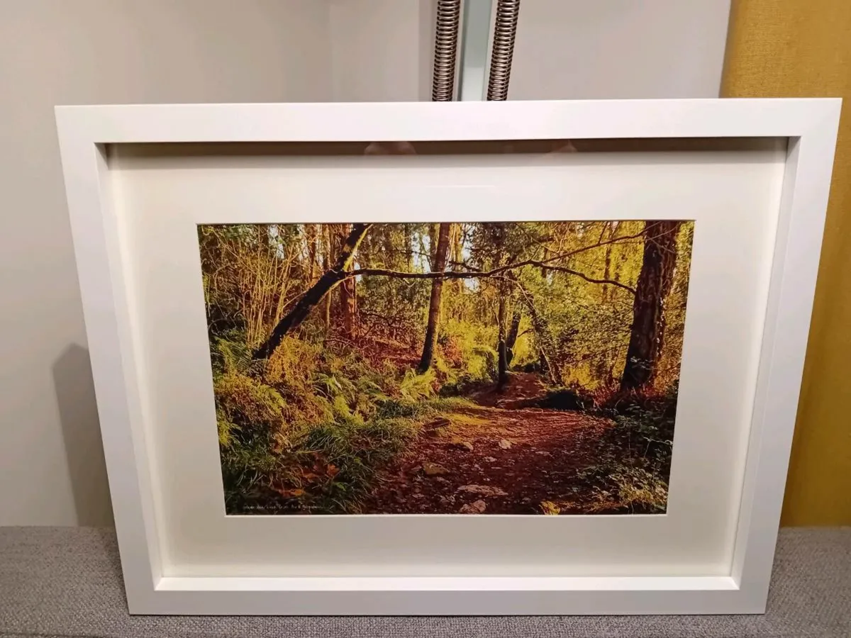 Glenbower Woods, Co.Cork - Image 3