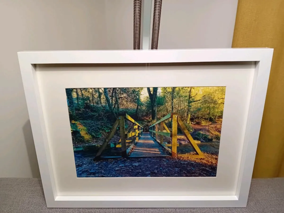 Glenbower Woods, Co.Cork - Image 4