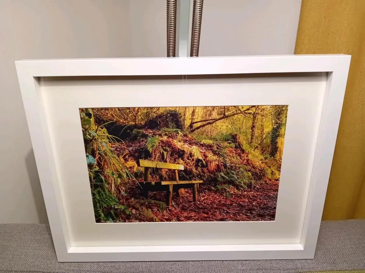 Glenbower Woods, Co.Cork - Image 1
