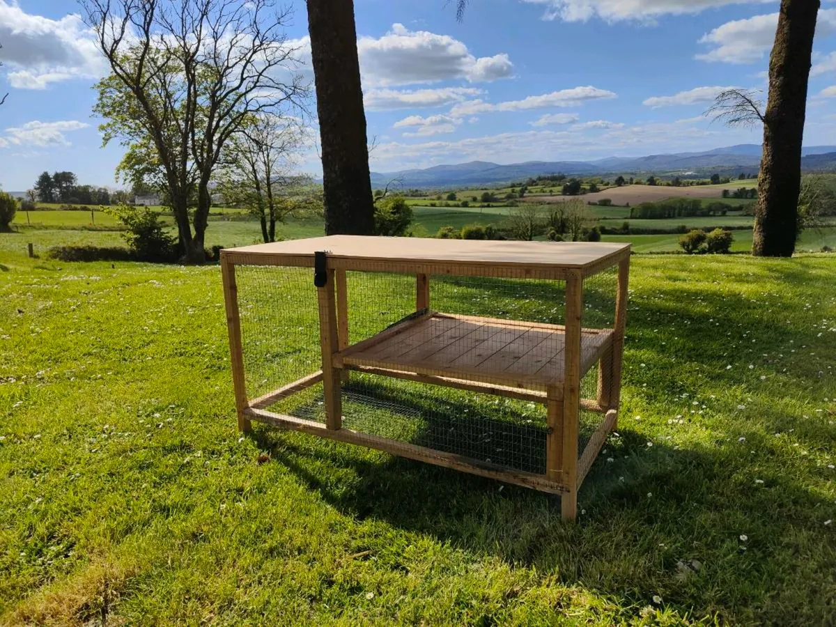 Rabbit cage - Image 2