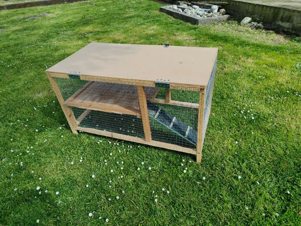 Rabbit cage - Image 3