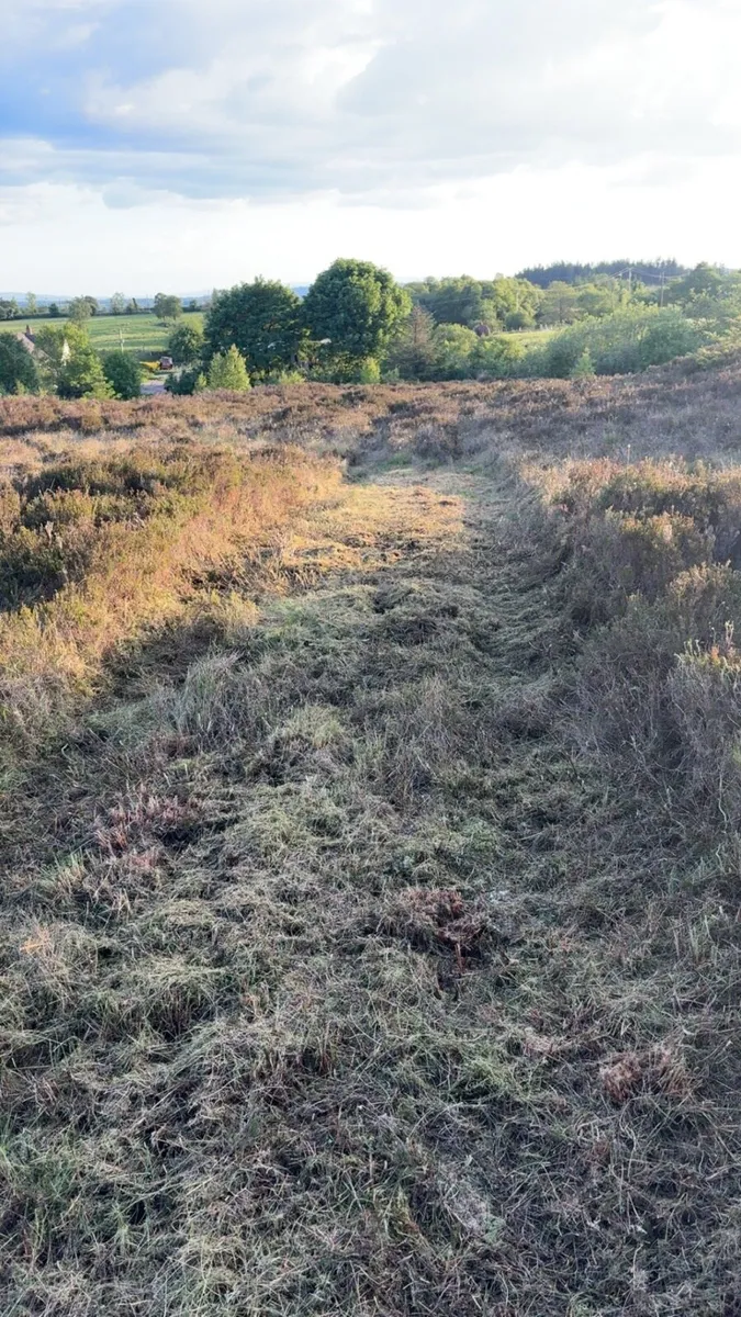 Mulching service - Image 2