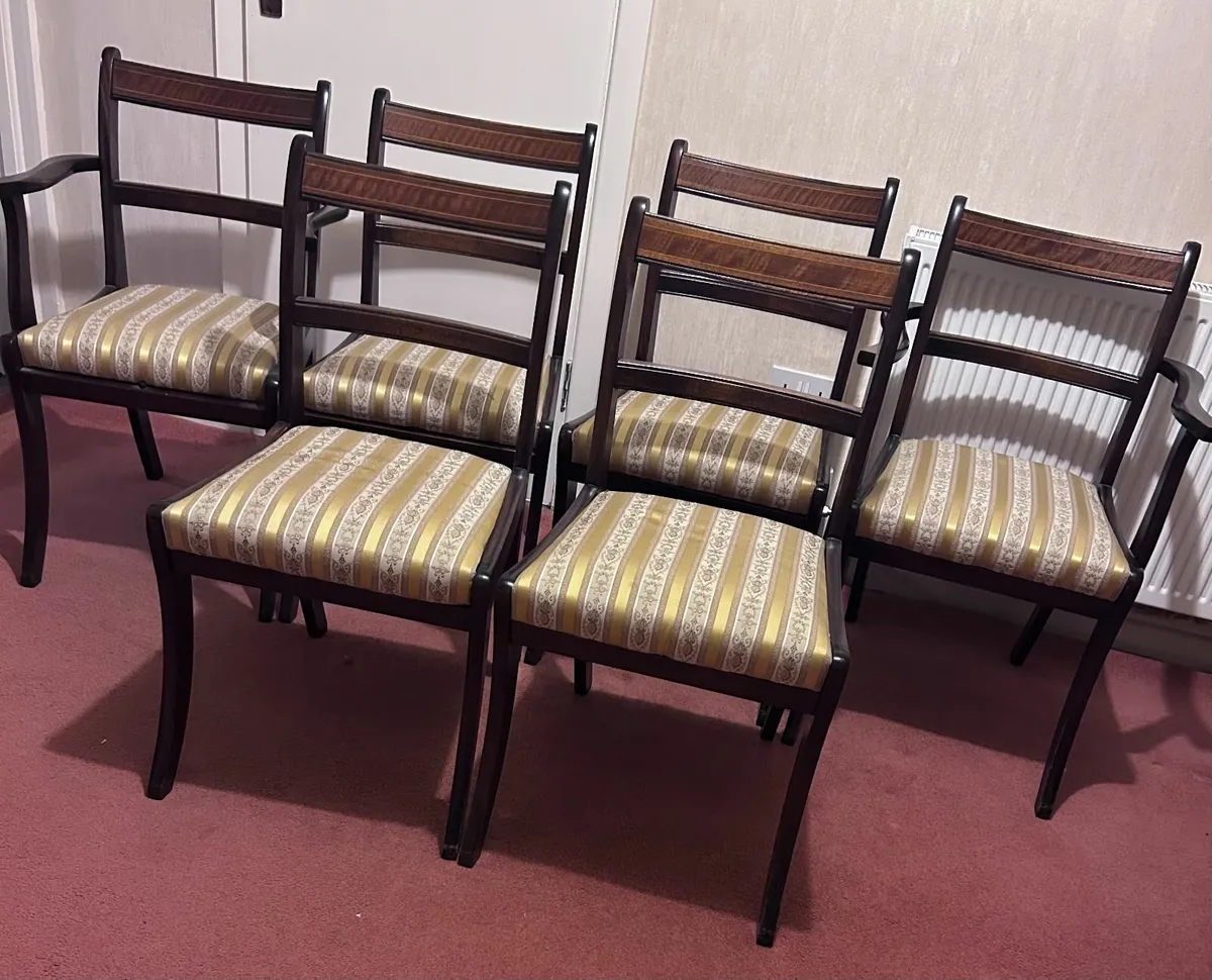 dining room chairs - Image 1