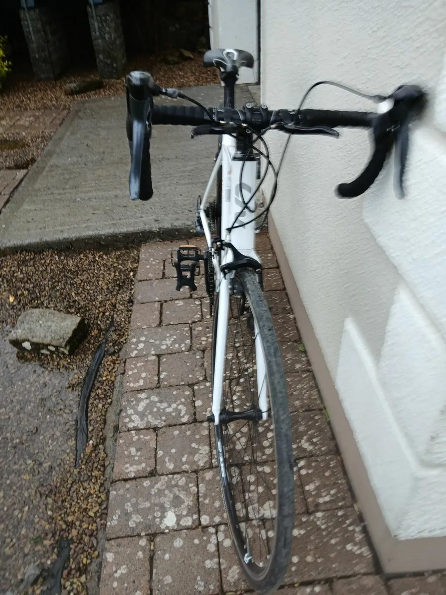 Ladies Bike - Image 4
