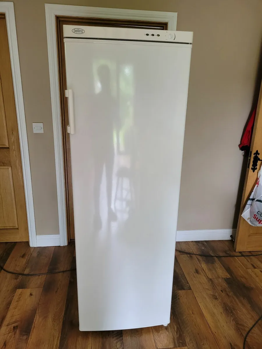 Freezer - Image 1