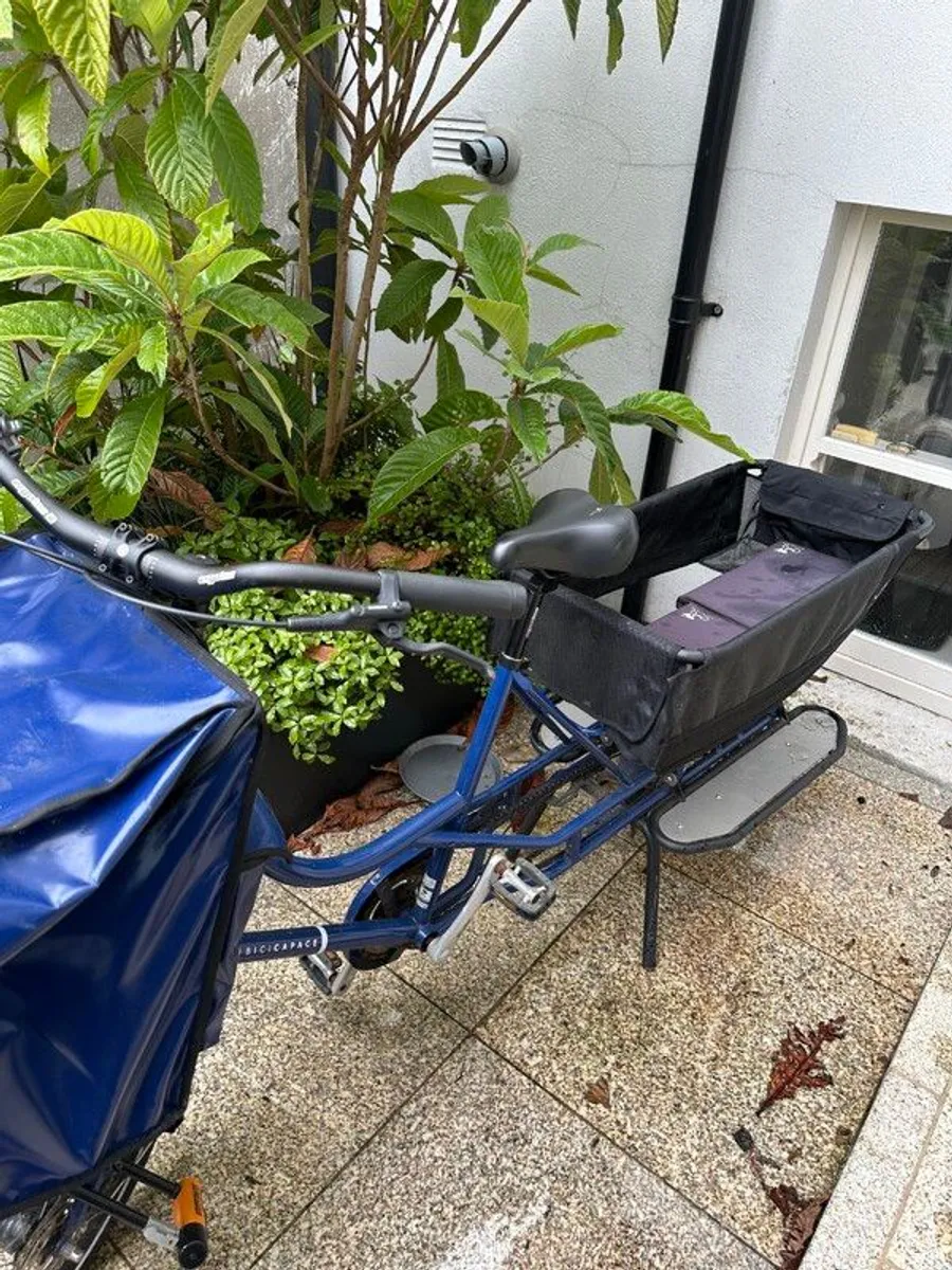 Cargo Bike - Image 2