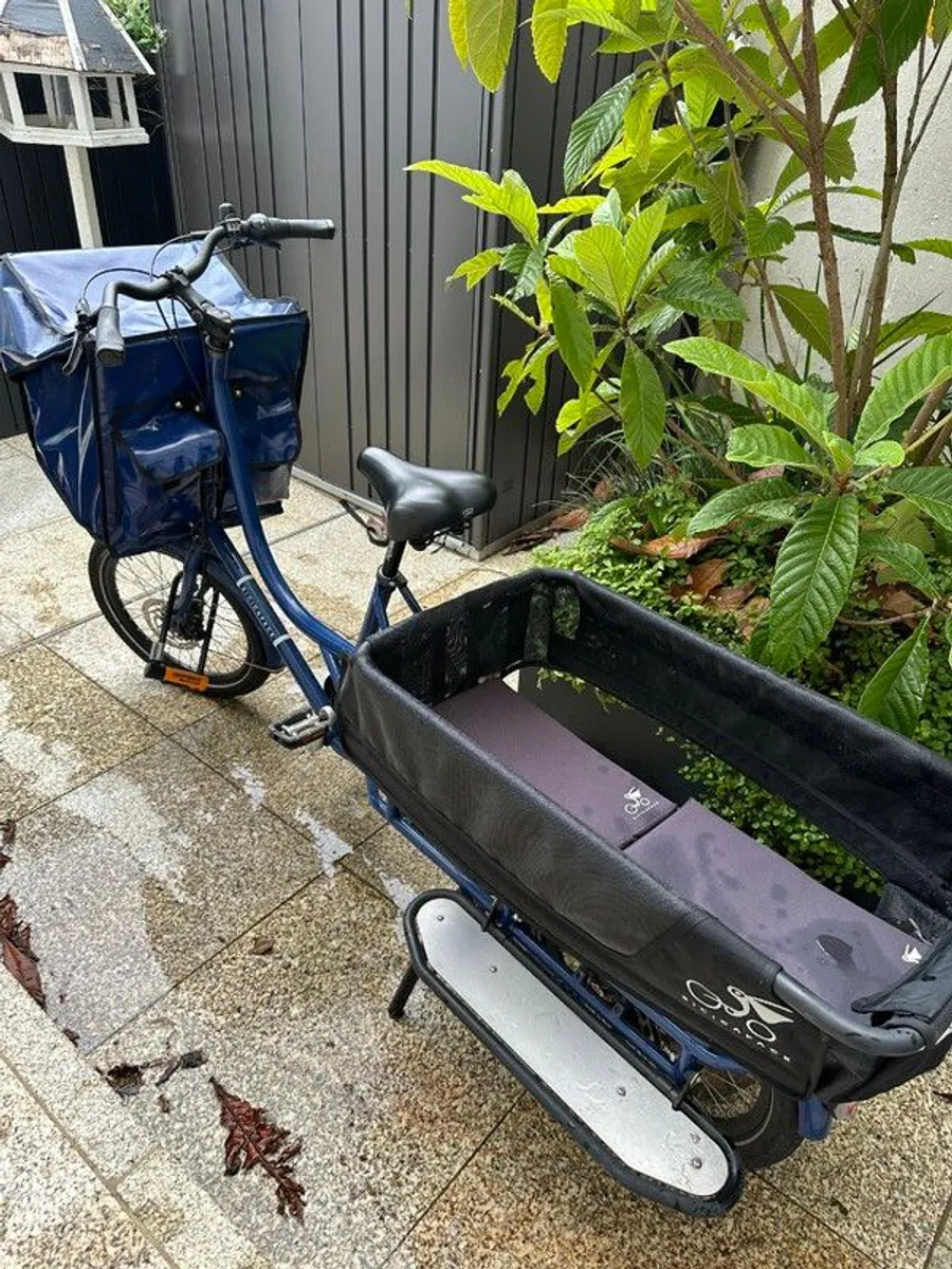 Cargo Bike - Image 4