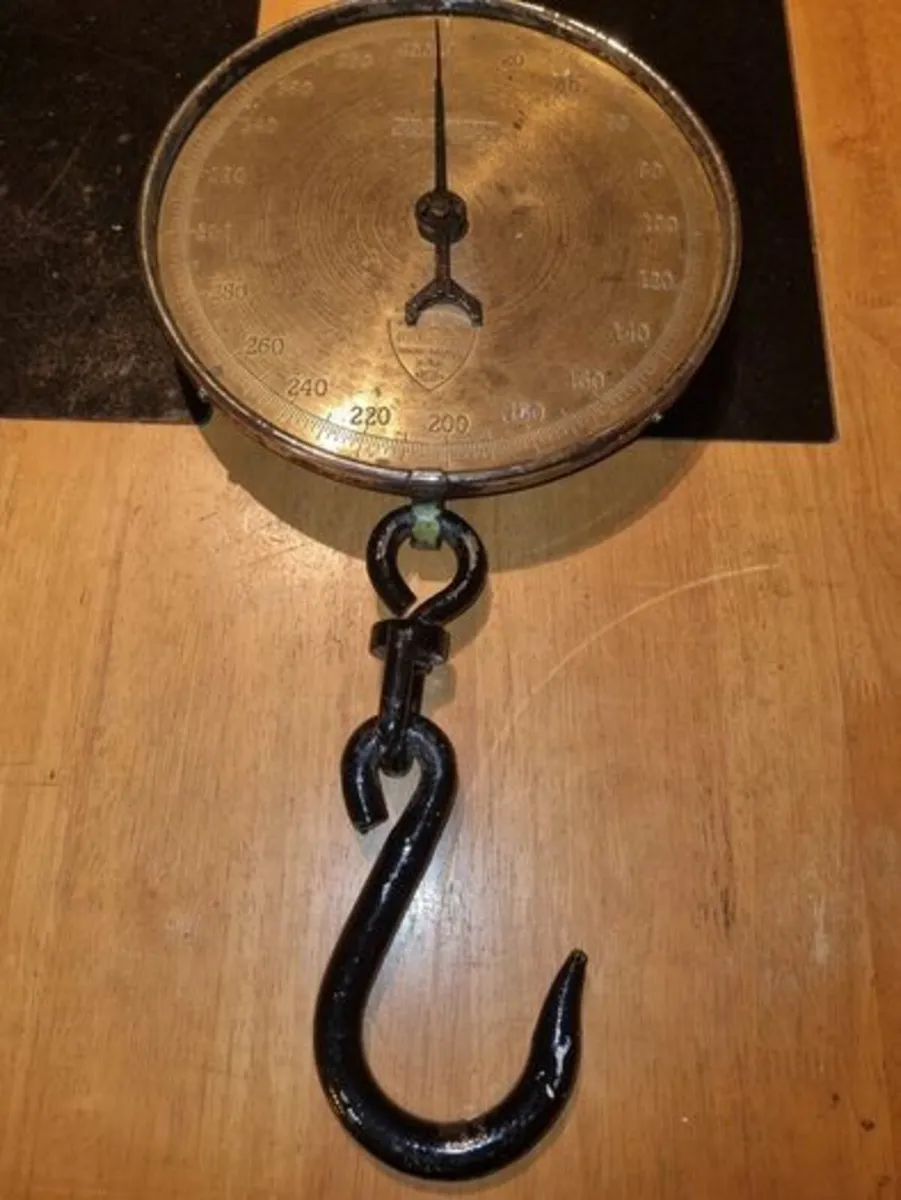 Vintage Salter hanging spring scale - Image 1